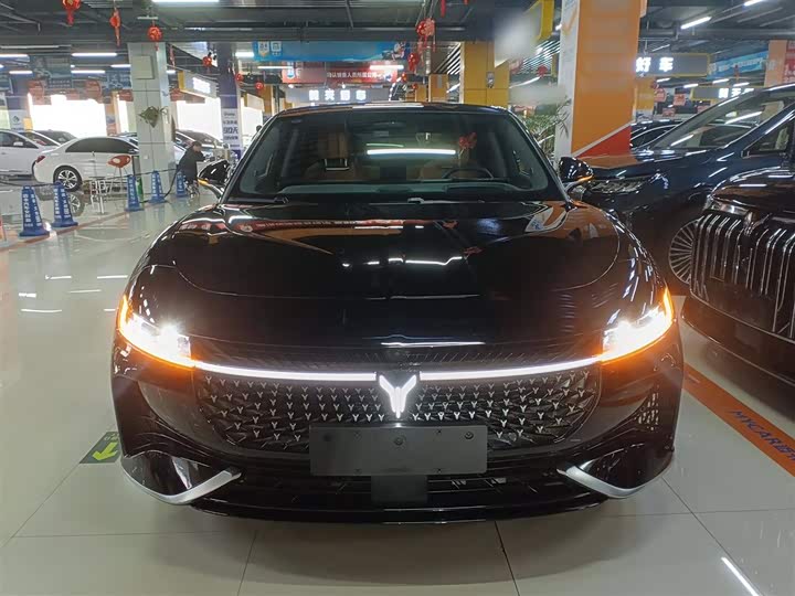 Voyah Passion 2024 2024款 PHEV 四驱超长续航旗舰版