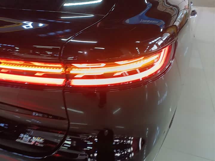 Voyah Passion 2024 2024款 PHEV 四驱超长续航旗舰版