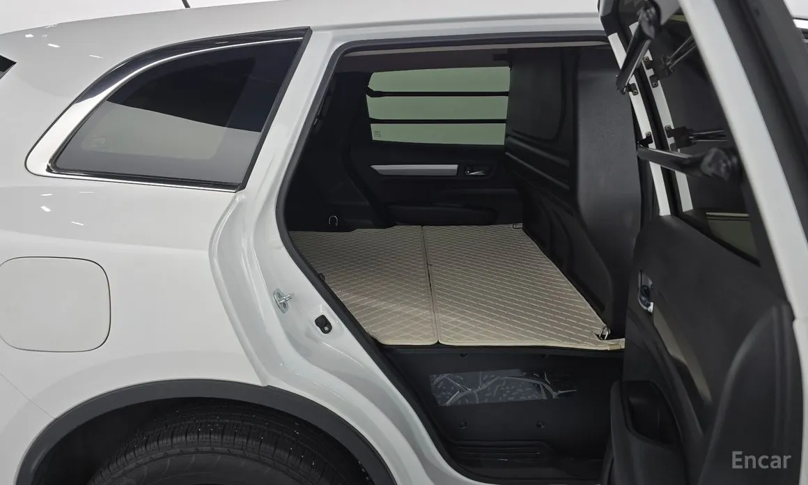 Renault QM6 2019 퀘스트 2.0 LPe Van 2WD