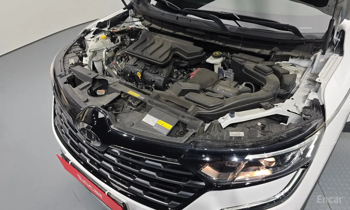 Renault QM6 2019 퀘스트 2.0 LPe Van 2WD