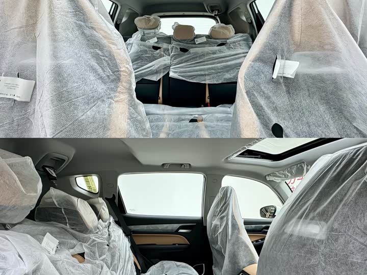 Geely Okavango Pro 2024 2024款 1.5T DCT 至尊版