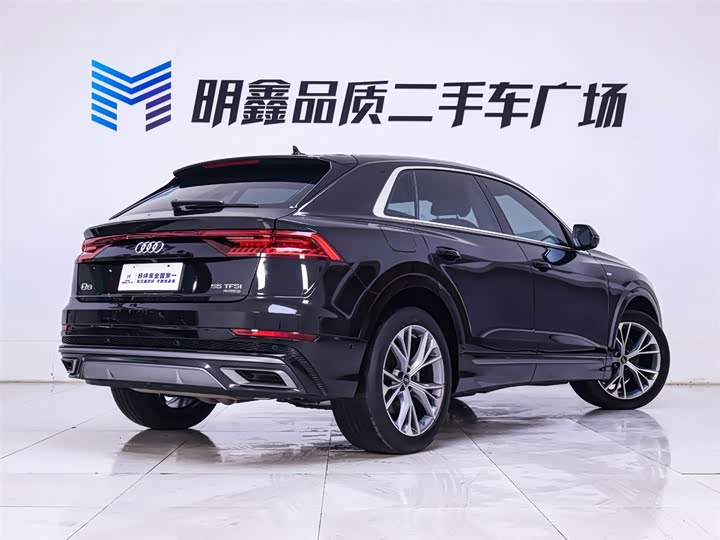 Audi Q8 2022 2022款 55 TFSI 豪华动感型