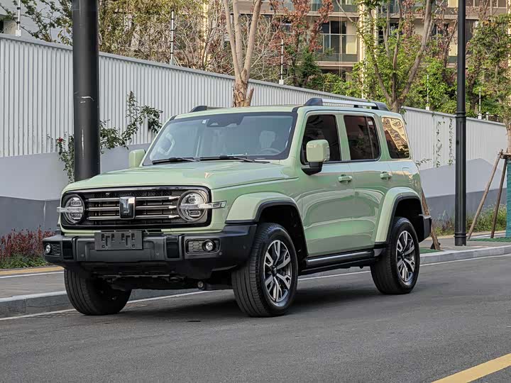 Tank 300 2024 2024款 2.0T 穿越者