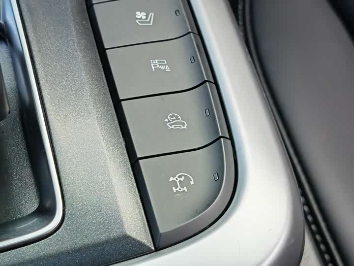 Tank 300 2024 2024款 2.0T 穿越者