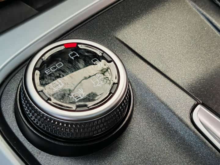 Tank 300 2024 2024款 2.0T 穿越者