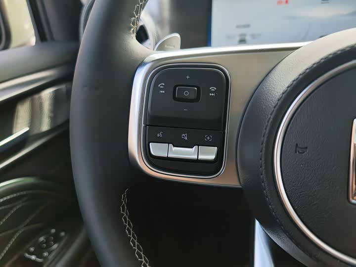 Tank 300 2024 2024款 2.0T 穿越者