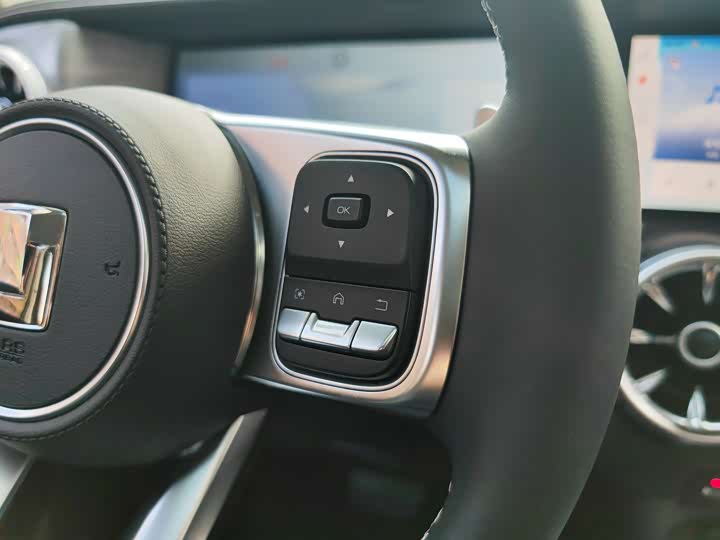 Tank 300 2024 2024款 2.0T 穿越者