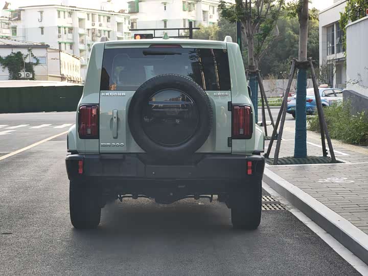 Tank 300 2024 2024款 2.0T 穿越者