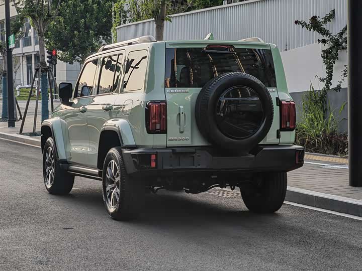 Tank 300 2024 2024款 2.0T 穿越者