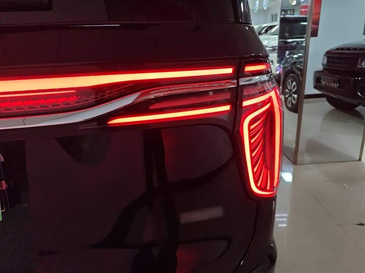 Hongqi HQ9 2023 2023款 2.0T 智联旗享版