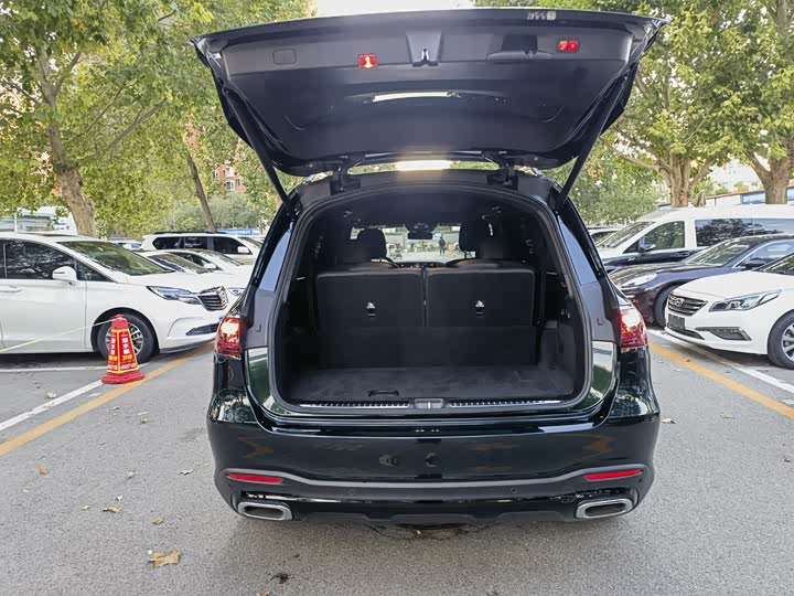 Mercedes-Benz GLS-Class 2025 2025款 GLS 450 4MATIC 豪华型