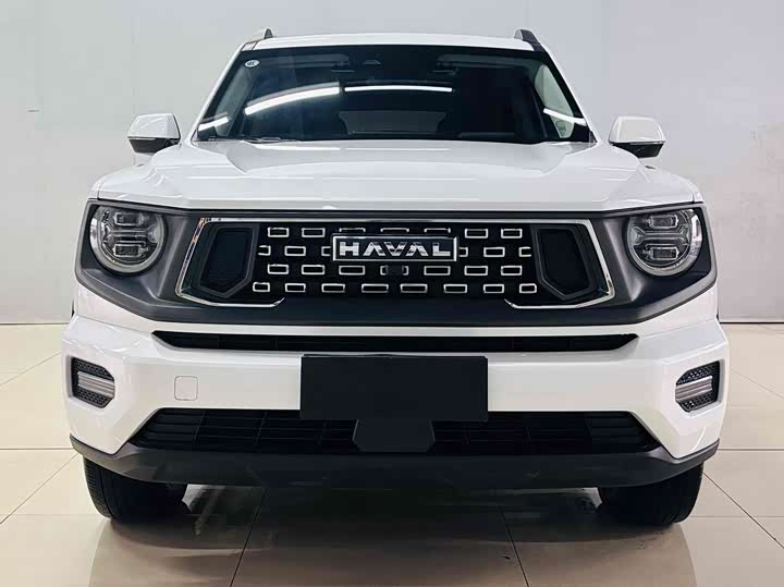 Haval H-Dog 2023 2023款 2.0T 两驱潮野版Plus
