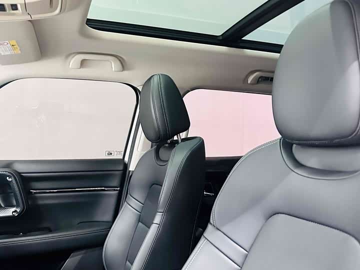 Haval H-Dog 2023 2023款 2.0T 两驱潮野版Plus