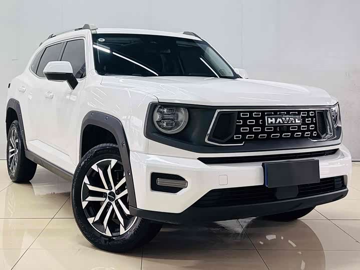 Haval H-Dog 2023 2023款 2.0T 两驱潮野版Plus