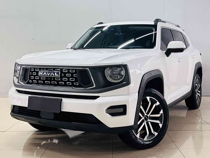 Haval H-Dog 2023 2023款 2.0T 两驱潮野版Plus