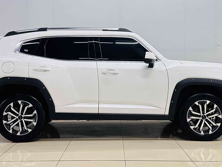 Haval H-Dog 2023 2023款 2.0T 两驱潮野版Plus