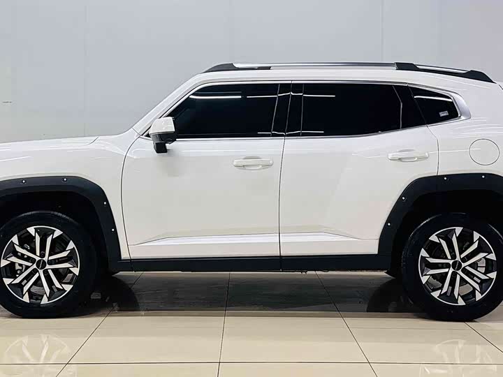 Haval H-Dog 2023 2023款 2.0T 两驱潮野版Plus