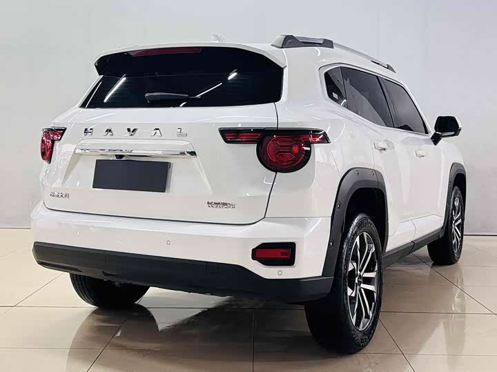 Haval H-Dog 2023 2023款 2.0T 两驱潮野版Plus