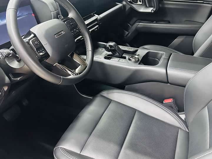 Haval H-Dog 2023 2023款 2.0T 两驱潮野版Plus