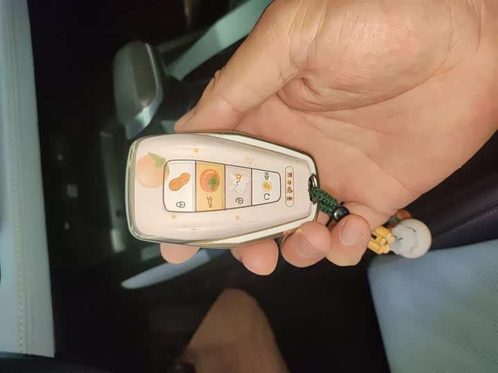 Geely Emgrand L 2022 2022款 1.4T CVT至尊型