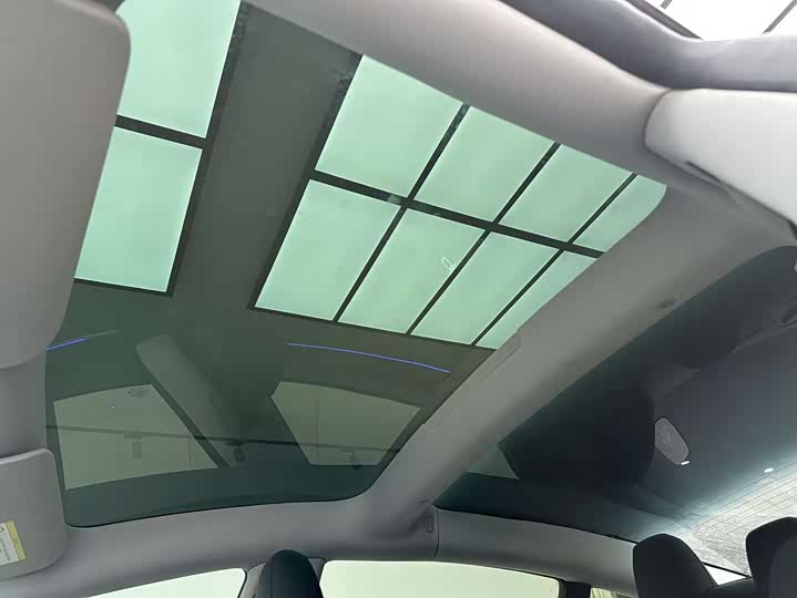 Tesla Model 3 2023 2023款 长续航全轮驱动版