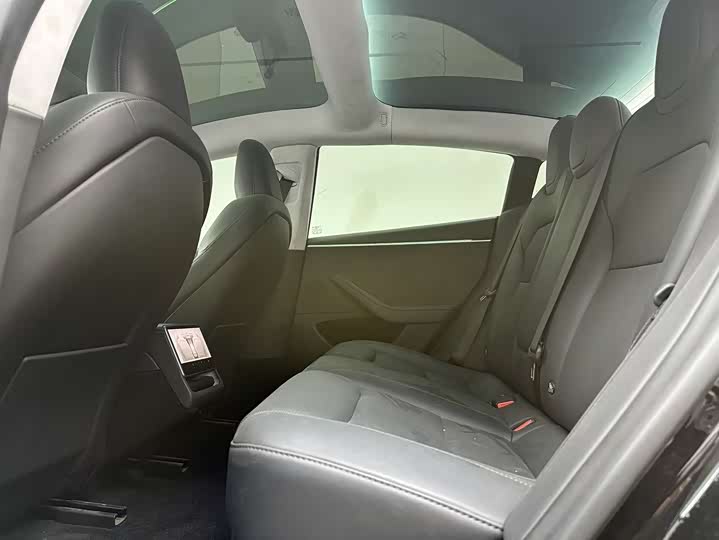 Tesla Model 3 2023 2023款 长续航全轮驱动版