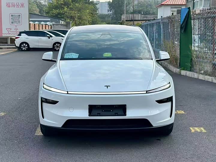Tesla Model Y 2025 2025款 长续航全轮驱动版