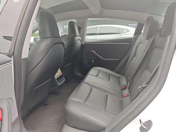 Tesla Model 3 2025 2025款 后轮驱动版
