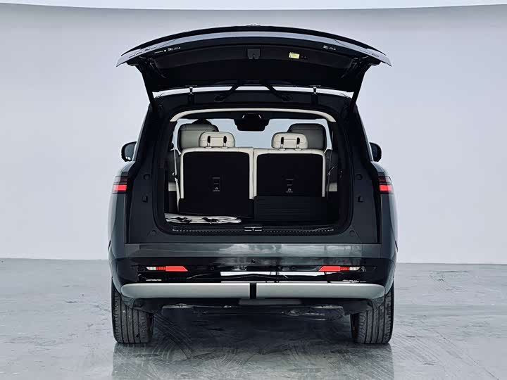 Denza N9 2025 2025款 尊荣型