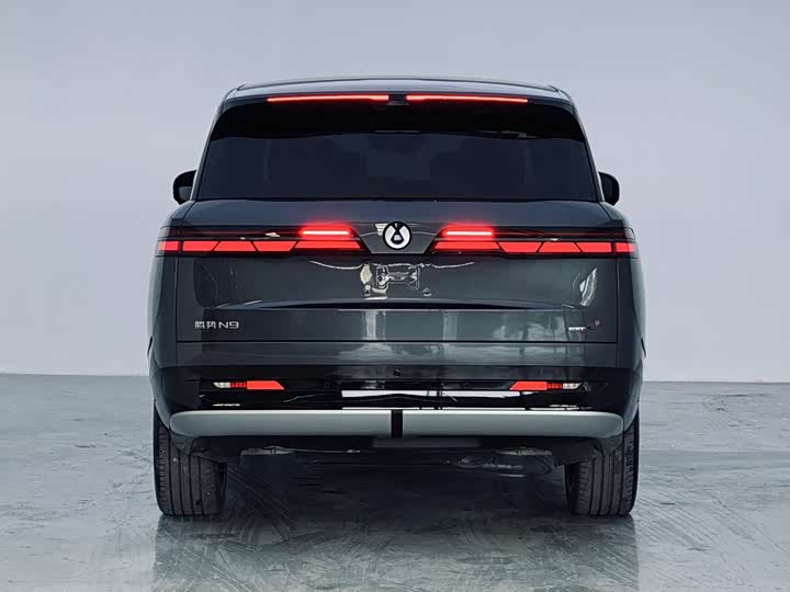 Denza N9 2025 2025款 尊荣型