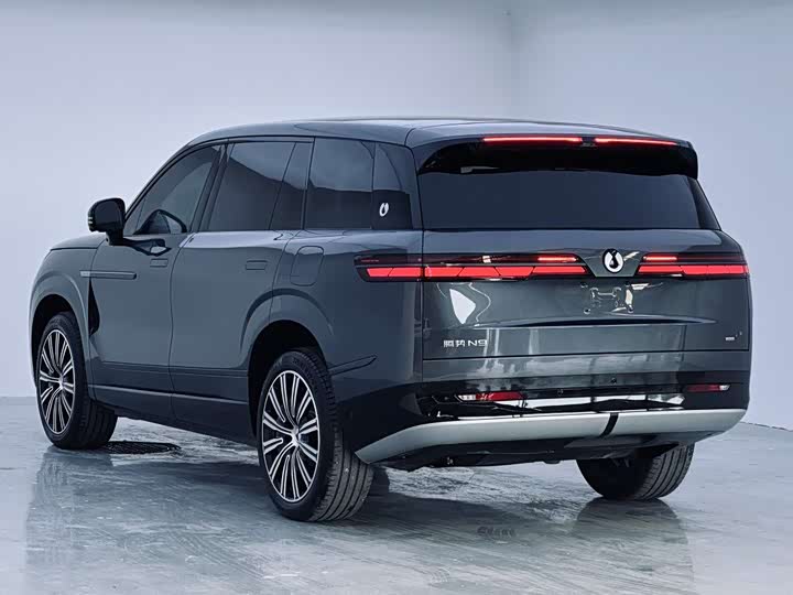 Denza N9 2025 2025款 尊荣型