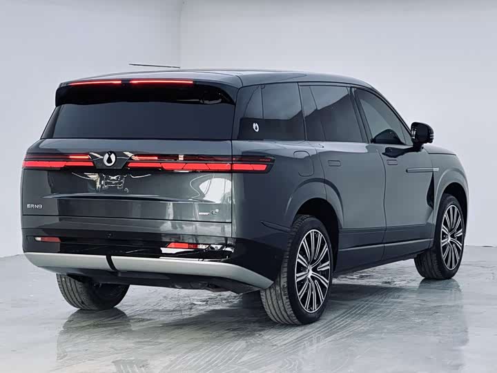 Denza N9 2025 2025款 尊荣型