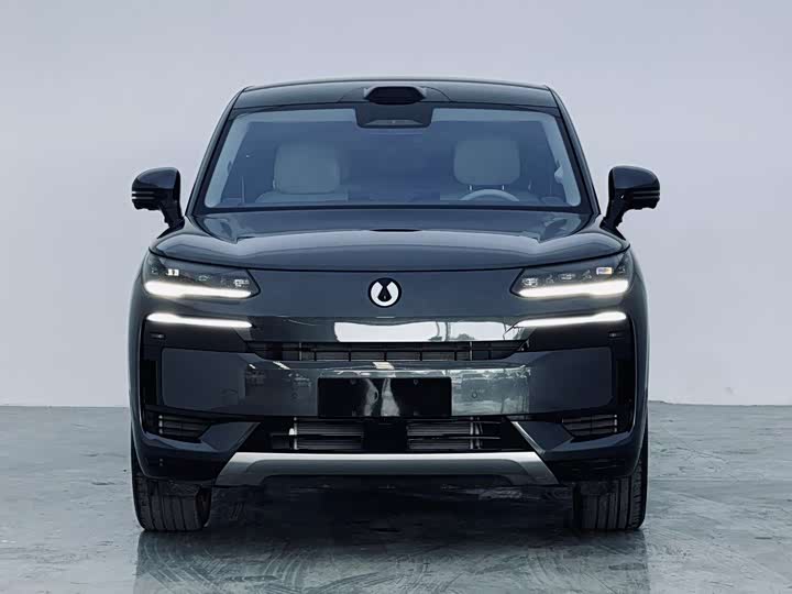 Denza N9 2025 2025款 尊荣型