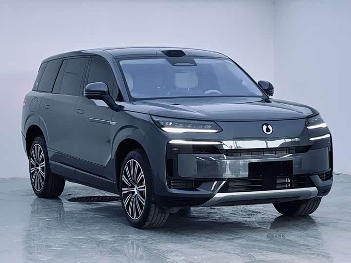 Denza N9 2025 2025款 尊荣型