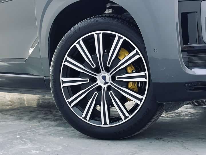 Denza N9 2025 2025款 尊荣型