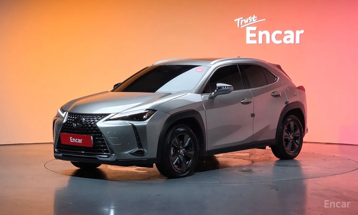 Lexus UX 2019 2.0 2WD