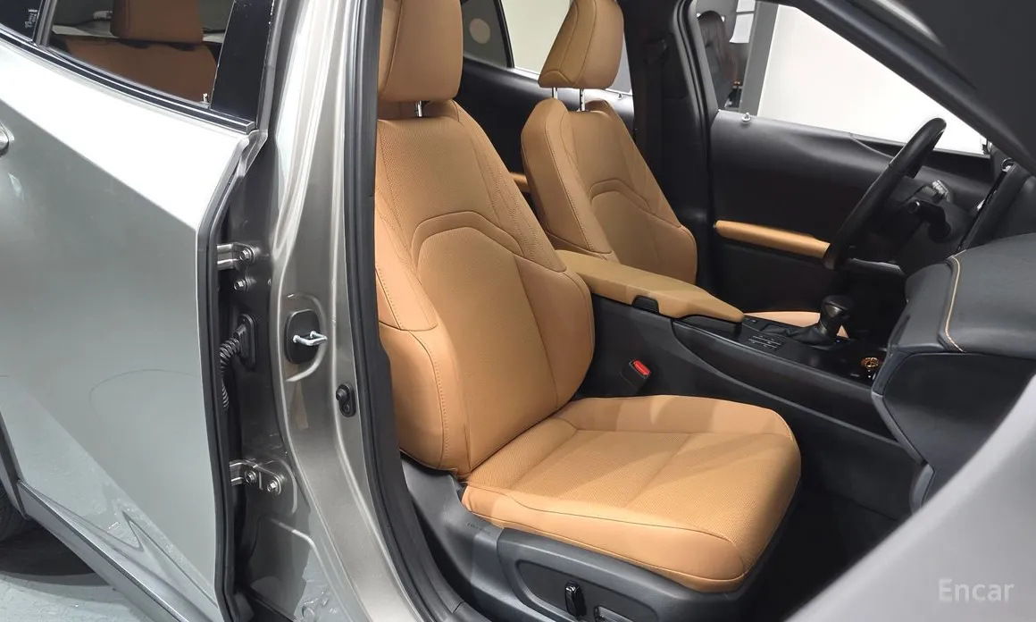 Lexus UX 2019 2.0 2WD