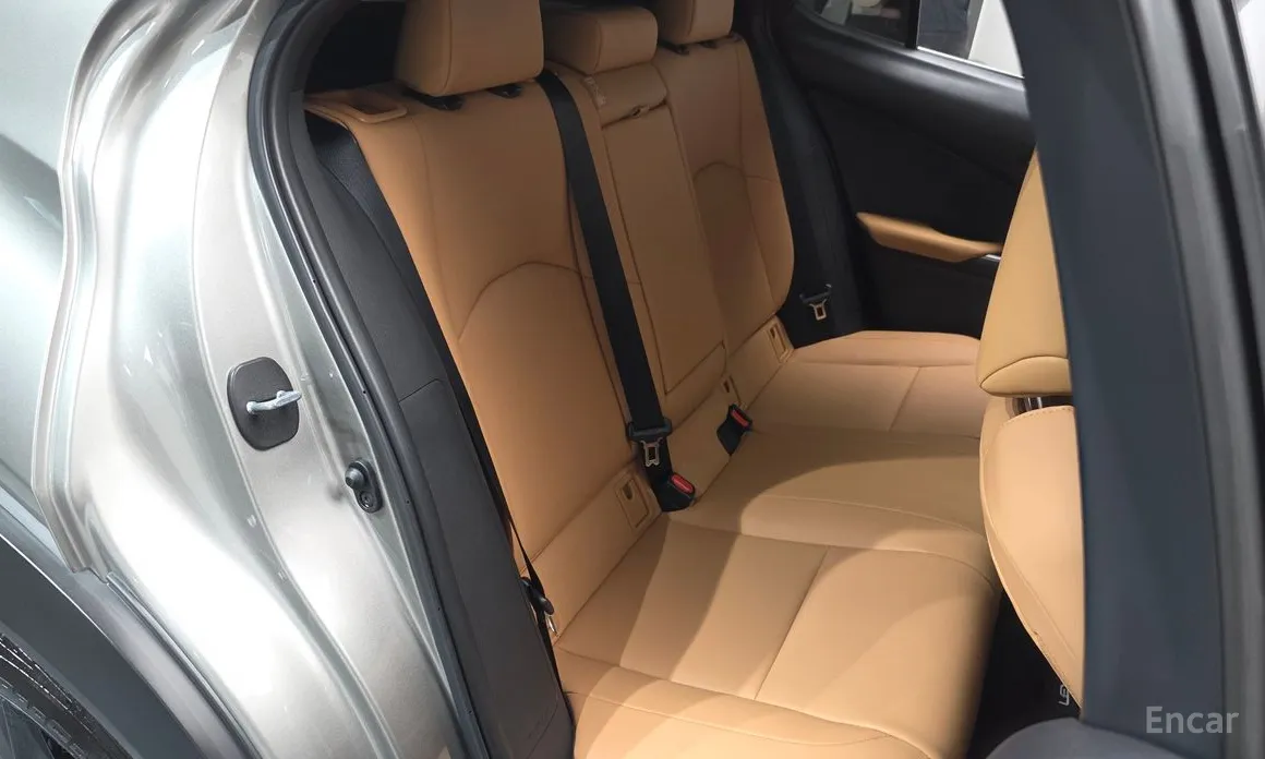 Lexus UX 2019 2.0 2WD