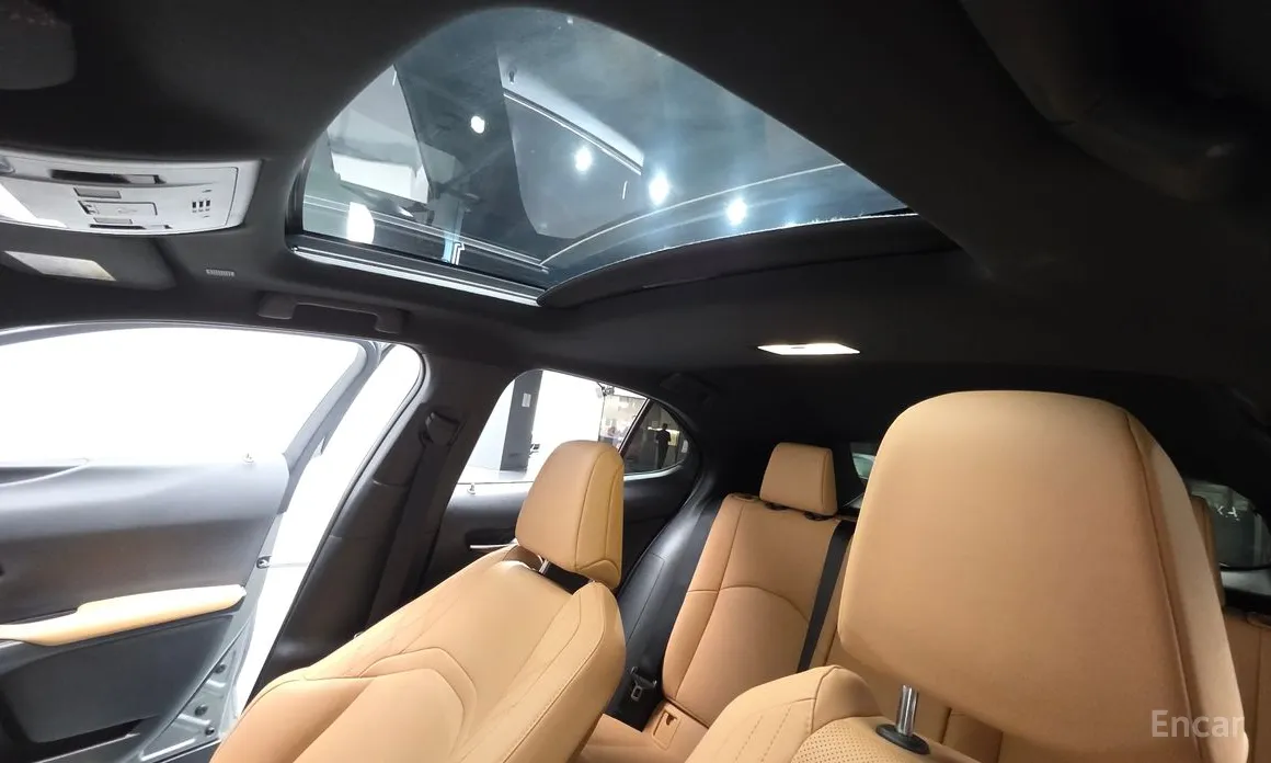 Lexus UX 2019 2.0 2WD