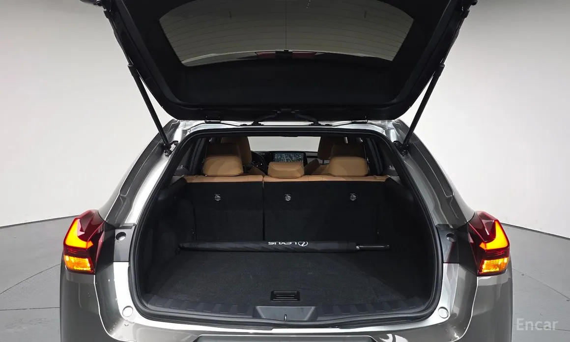 Lexus UX 2019 2.0 2WD