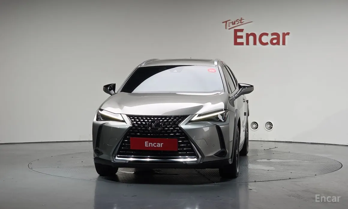 Lexus UX 2019 2.0 2WD