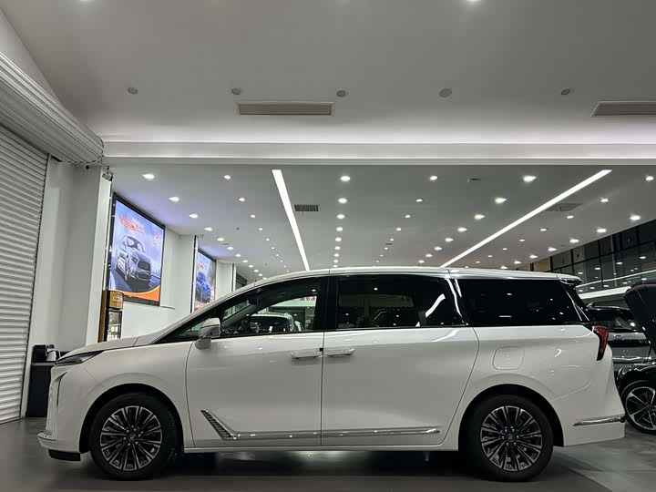 Buick GL8 ES 2025 2025款 陆尊 尊享版