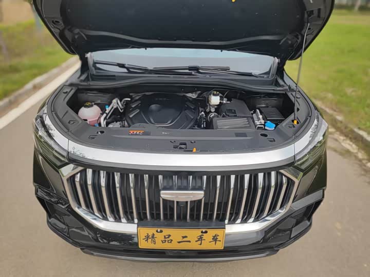 Geely Okavango L 2024 2024款 2.0T DCT尊贵型