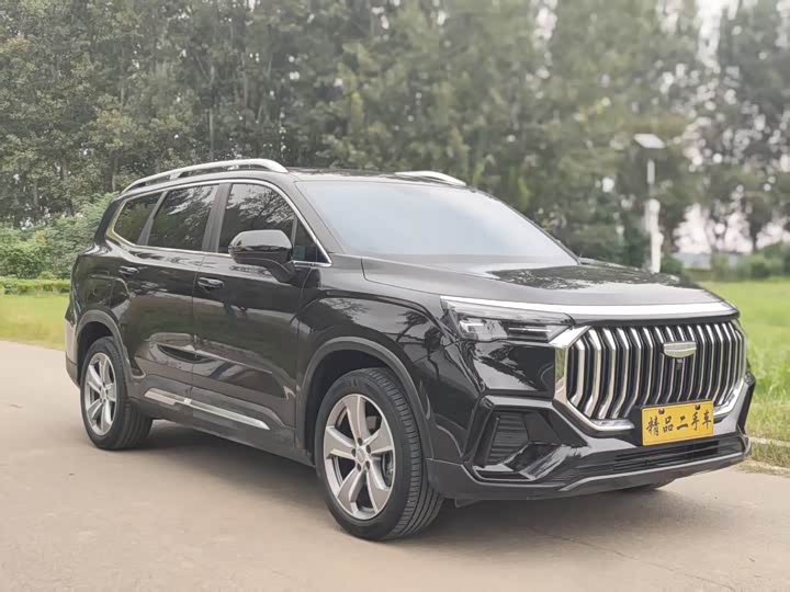 Geely Okavango L 2024 2024款 2.0T DCT尊贵型