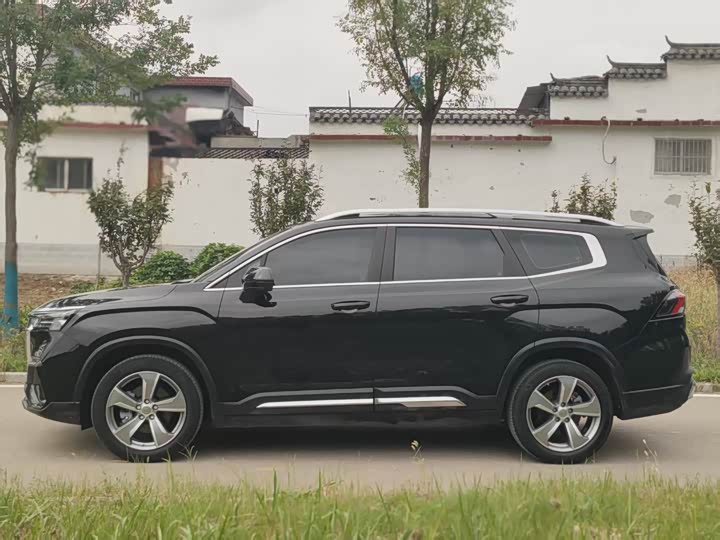 Geely Okavango L 2024 2024款 2.0T DCT尊贵型