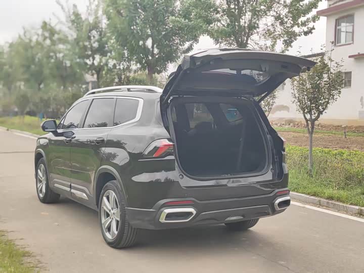 Geely Okavango L 2024 2024款 2.0T DCT尊贵型