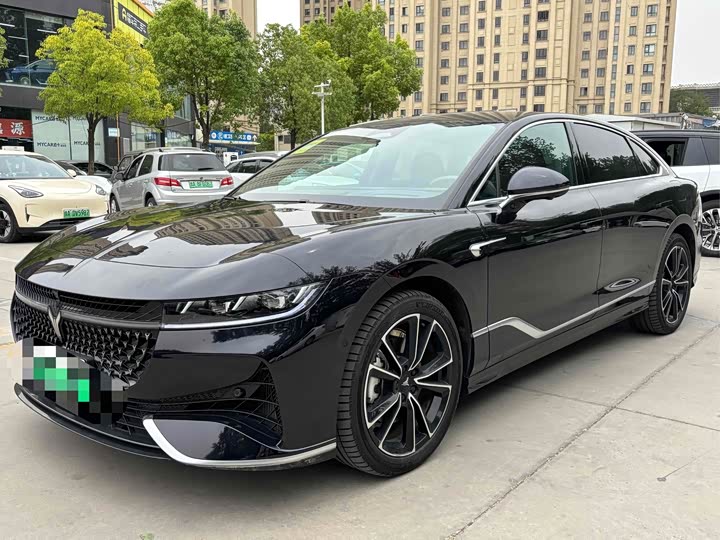 Voyah Passion 2024 2024款 PHEV 四驱超长续航旗舰版