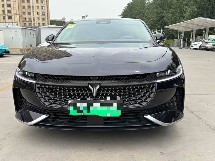 Voyah Passion 2024 2024款 PHEV 四驱超长续航旗舰版