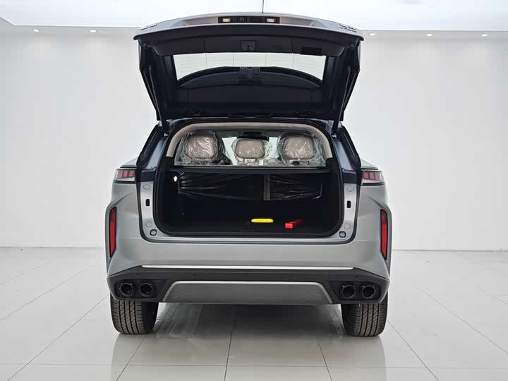 Exeed RX C-DM Hybrid 2024 2024款 1.5T 长续航Pro