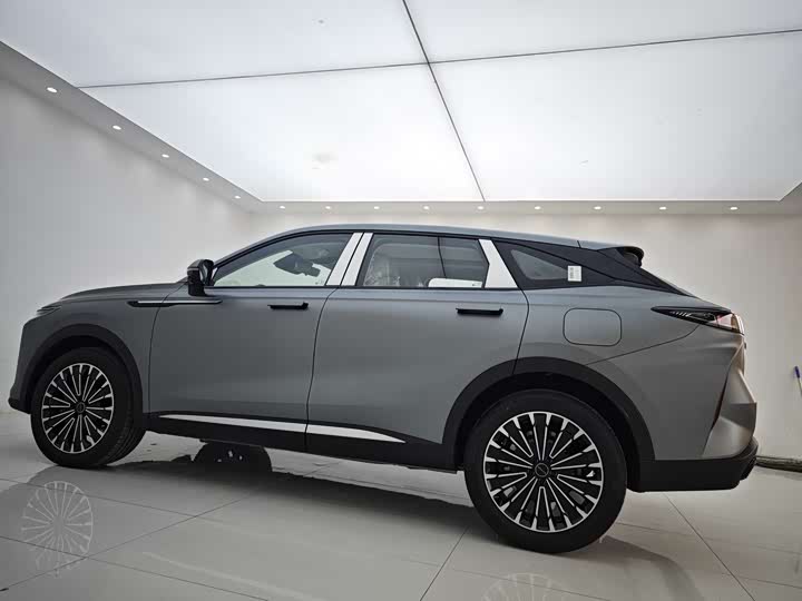 Exeed RX C-DM Hybrid 2024 2024款 1.5T 长续航Pro